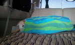 2012-12-03 10.47.53.jpg
