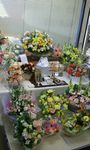 2012-12-12 15.46.09.jpg