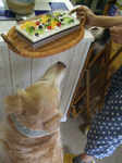 DSCF5523.jpg