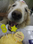 DSCF5607.jpg
