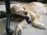 DSCF6302.jpg