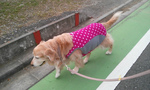 IMG00408.jpg