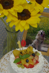 IMGP1292.jpg